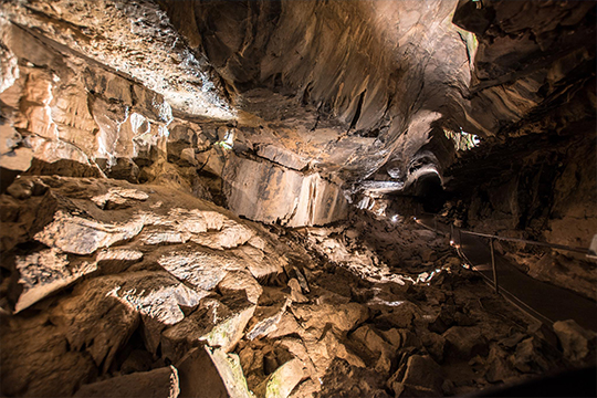 Aillwee Cave and the Burren Birds of Prey Centre 