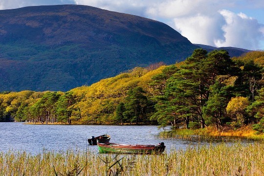 6 Night Scenic South West from $458 incl. Car Rental (Save 15%)