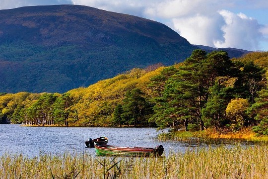 6 Night Scenic South West Tour of Ireland from $458 incl Car Rental - Save 15%