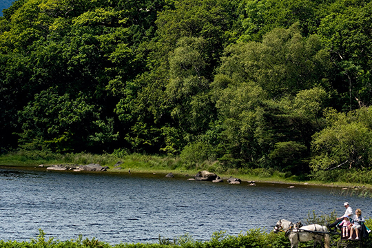 7 Night Best of Ireland from $695 CAD incl. Car Rental - Save 15%.