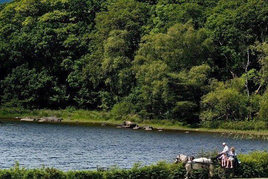 7 Night Best of Ireland Tour with Car Rental from $755 CAD - Save 15%
