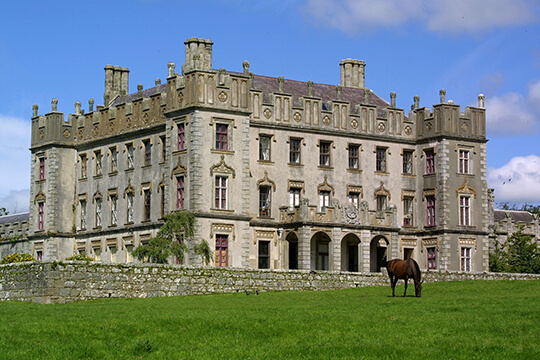 Borris House