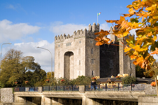 deluxe irish castle tour