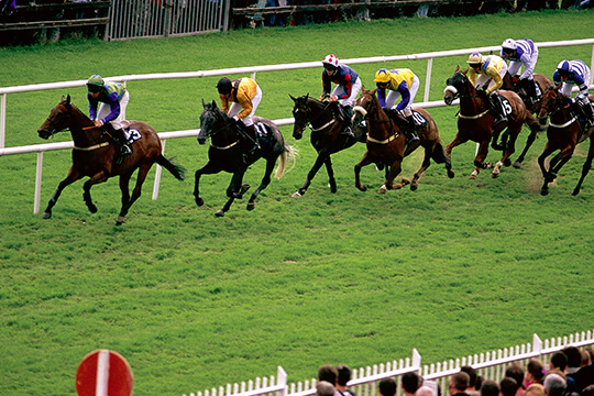 Galway Races