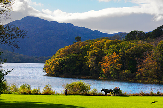 5 day bus tours of ireland