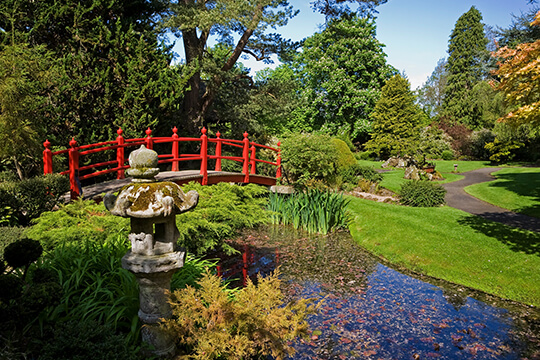 National Stud & Japanese Gardens