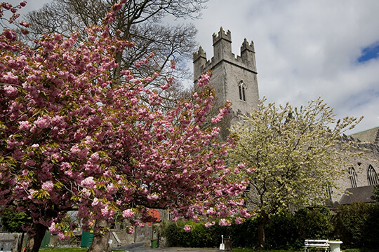 St. Marys Cathedral