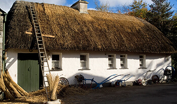 drinking tour of ireland