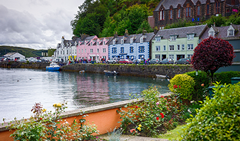 bus tours from cork ireland