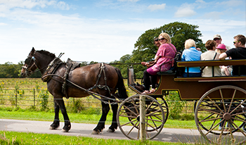 escorted coach tours ireland