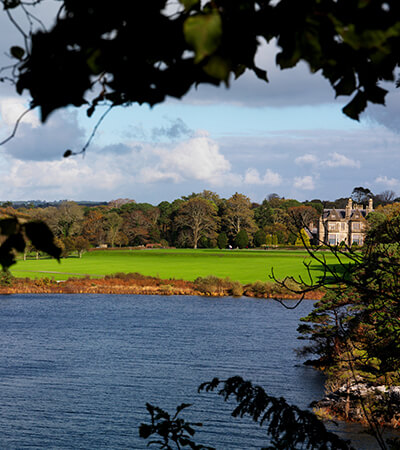 pub tours in ireland