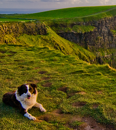 5 day bus tours of ireland